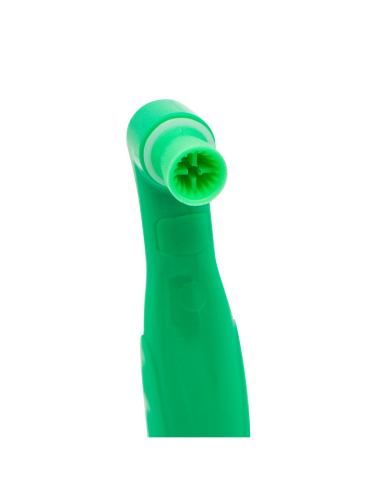 Einweg-Prophy-Winckelstück
