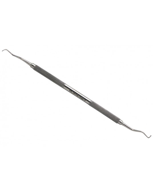 Zahnreiniger (Scaler)