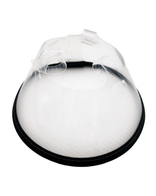 Schutzkragen Click für Hund und Katze