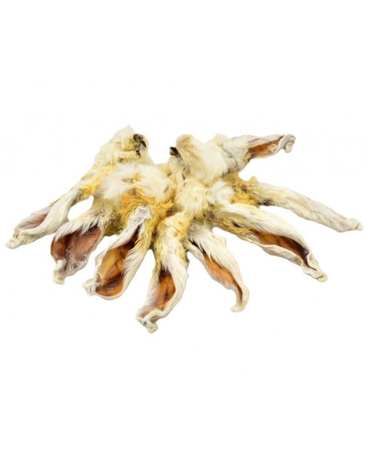 Fit4Pets Kauspielzeug Kaninchenohren