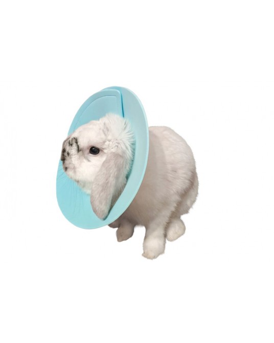 Postoperativer Halskragen Fit4Pets für Nagetiere mit Klettverschluss, blau