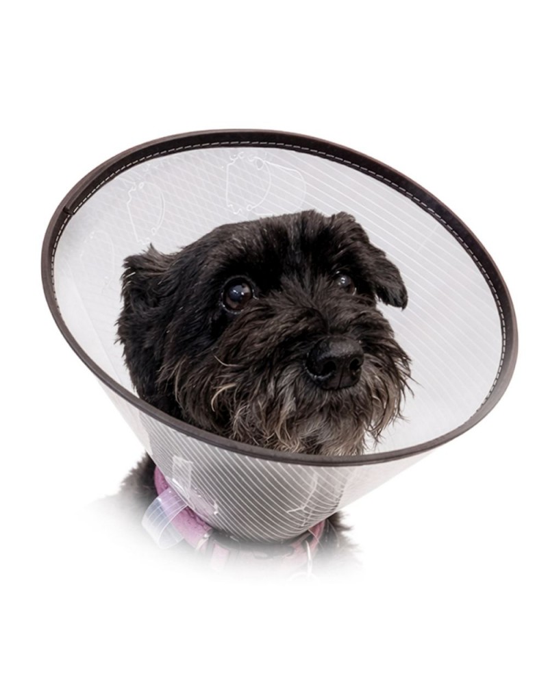 Schutzkragen für Hunde und Katzen mit Klickverschluss und weichem Rand
