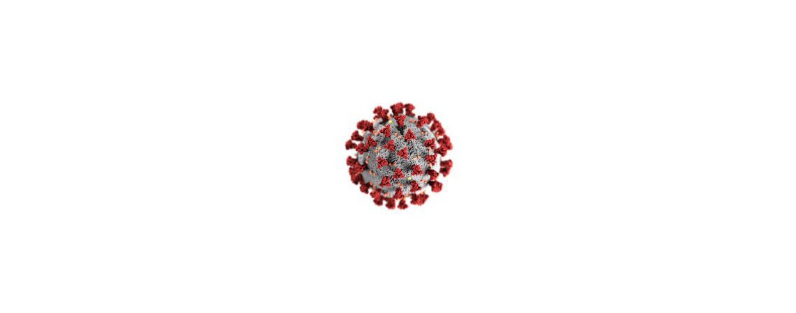 Coronavirus SARS-CoV-2 