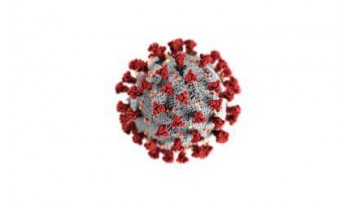 Coronavirus SARS-CoV-2 