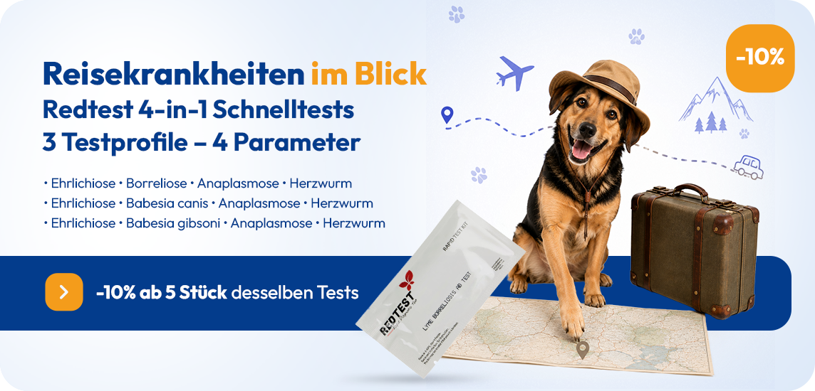 Reisekrankheiten